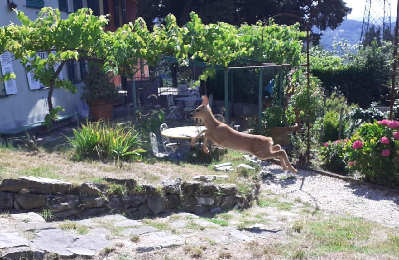 Villa Ponzio 제노바 외부 사진